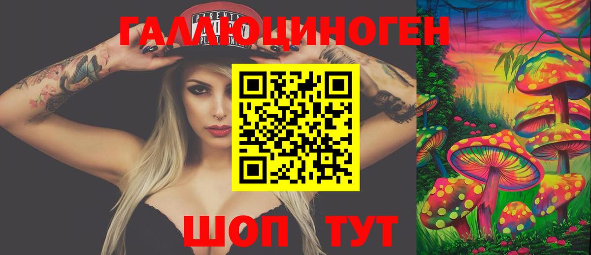 Тайшет  Галлюциногенные грибы мухоморы  Галлюциногенные грибы GOLDEN TEACHER  наркота  Вход с VPN 